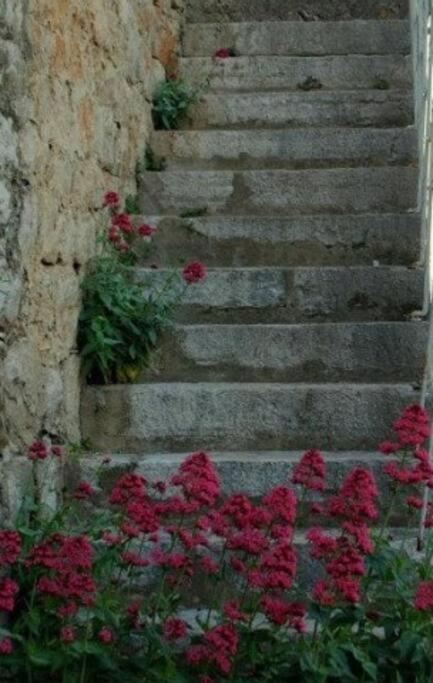 Bedroom For 1, In 100 Y Old Dalmatian House, Under Mountain, 14 Km To Np Krka, 35 Mins Drive To Beach Razvode Extérieur photo